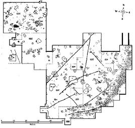 Archeologie doby hradištní v České a Slovenské republice Obr. 6. Břeclav-Pohansko. Výzkum severovýchodního předhradí. Kresba A. Šik. Abb. 6. Břeclav-Pohansko. Grabung der nordöstlichen Vorburg.