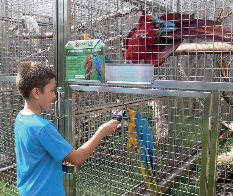 Malý ošetřovatel při krmení papouška Podzimní komentované prohlídky