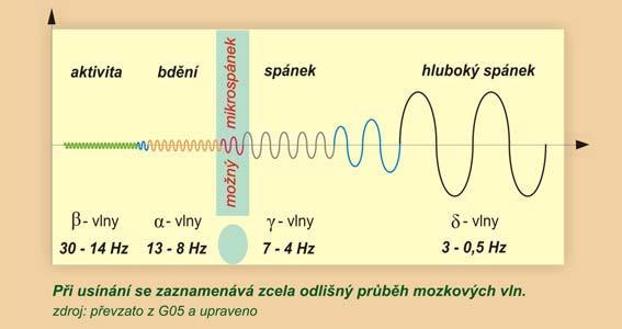 EEG nálezy během