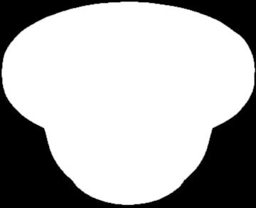 17 90 Vanilková,
