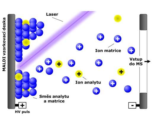 Ionizace laserem za účasti matrice - MALDI Karas, M.; Bachmann, D.; Bahr, U.; Hillenkamp, F. Int. J. Mass Spectrom. Ion Proc. 1987, 78, 53-68. Tanaka, K.; Waki, H.; Ido, Y.; Akita, S.; Yoshida, Y.