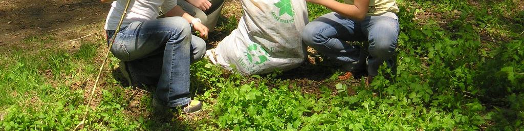 subjektů) významná prostranství či ostrůvky zeleně uvnitř města. Armillaria poskytla celkem 400 pytlů, z nichž bylo využito asi cca 300, firma A.S.A. dodala velkoobjemové kontejnery.