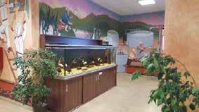 Úpravna vody v Poděbradech nabízí, mimo jiné, pro školy a širokou veřejnost ve svém vestibulu již od roku 2016 zajímavou expozici studenovodních a tropických ryb ve dvou velkých akváriích.