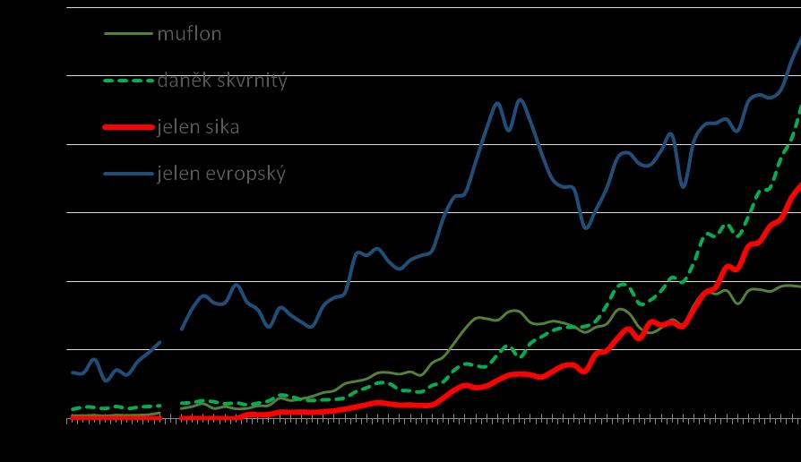 Výše odlovu muflona od devadesátých let v ČR stoupá jen mírně; ovšem muflon působí značné škody ohryzem a loupáním kůry. Obr.