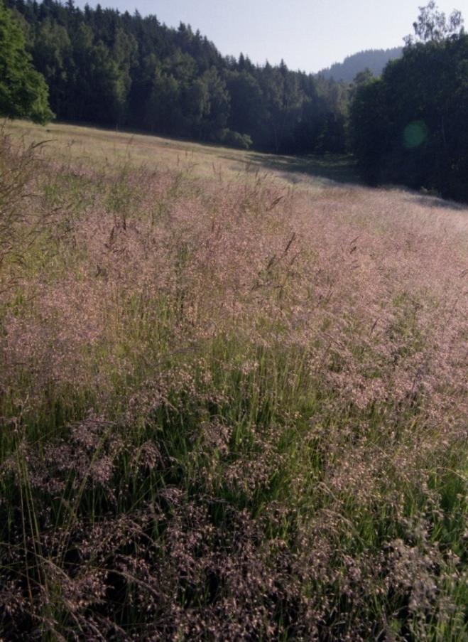 PŘÍLOHY FOTOGRAFIE Obr.