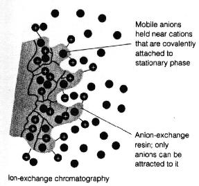 polárními funkčními skupinami (kyselými nebo bazickými), které mohou vlastní proti iont vyměňovat s iontem v mobilní fázi katexy (měniče kationtů) silně kyselé: