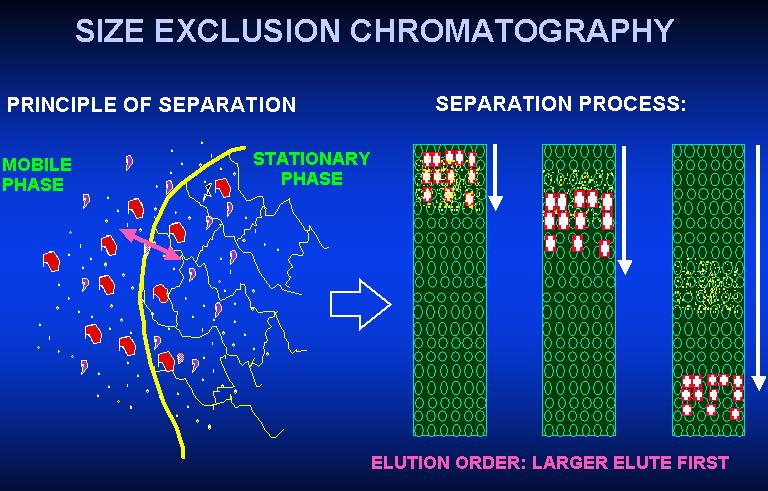 Vylučovací chromatografie Separace podle hydrodynamického objemu molekul porézní