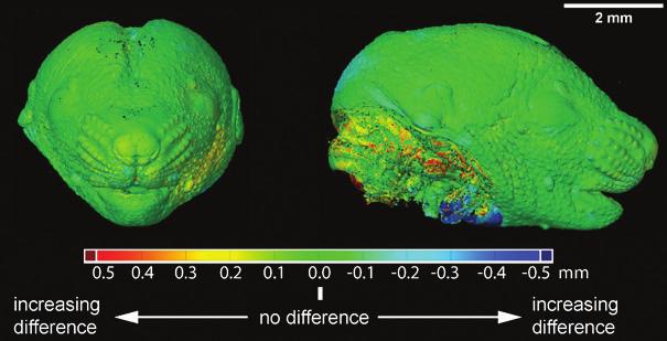 Obr. 9: Porovnání 3D modelů hlavy mezi zdravým embryem a mutantem. NOVINKY MicroCT systém Heliscan Obr. 10: Laboratorní CT systém Heliscan.