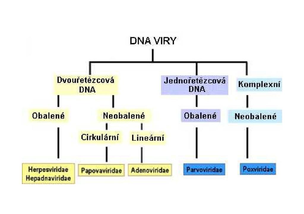 Vědecká