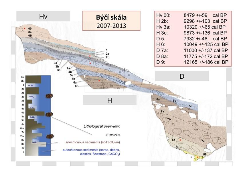 Obr. 3: Profil suťovým souvrstvím odkrytým v letech 2007-2013 v postranním vchodu jeskyně Býčí skála, schéma litogenetické dynamiky souvrství a přehled radiokarbonových dat jednotlivých horizontů.