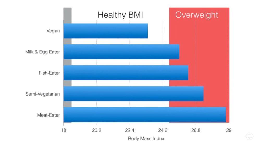 Vliv stravy na BMI Studie adventistů, 2009 - Sledováno 22 434 mužů, 38 469