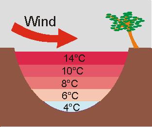 Anomálie vody Jedinou výjimkou je voda, jejíž objem klesá v teplotním intervalu 0 C až 4 C a teprve od teploty 4 C opět roste.