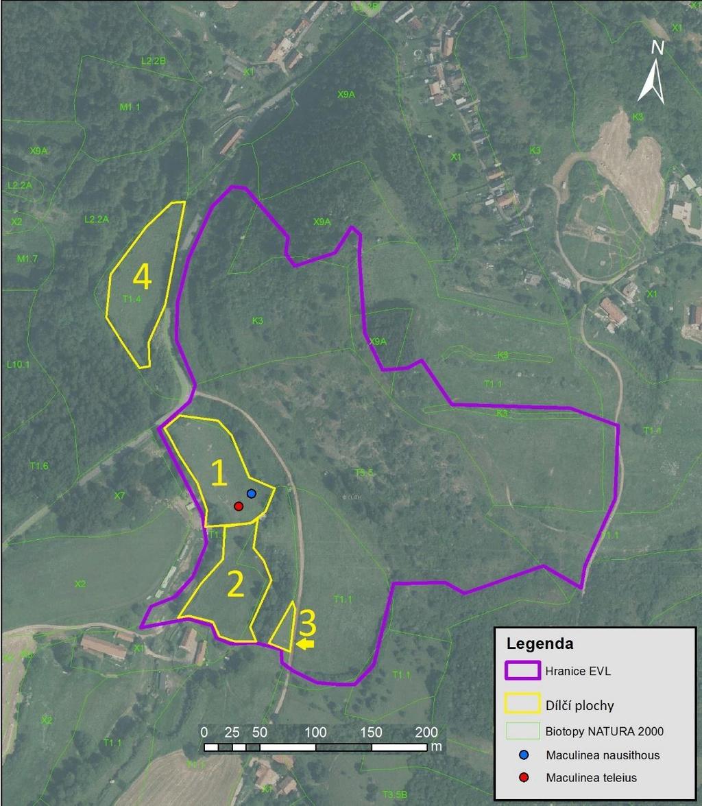 tedy vhodně. Ve stráňce nad lokalitou 2 je ještě malý fragment vhodného biotopu, plocha 3, který byl pravděpodobně sečený ve stejné době, jako plocha 2.