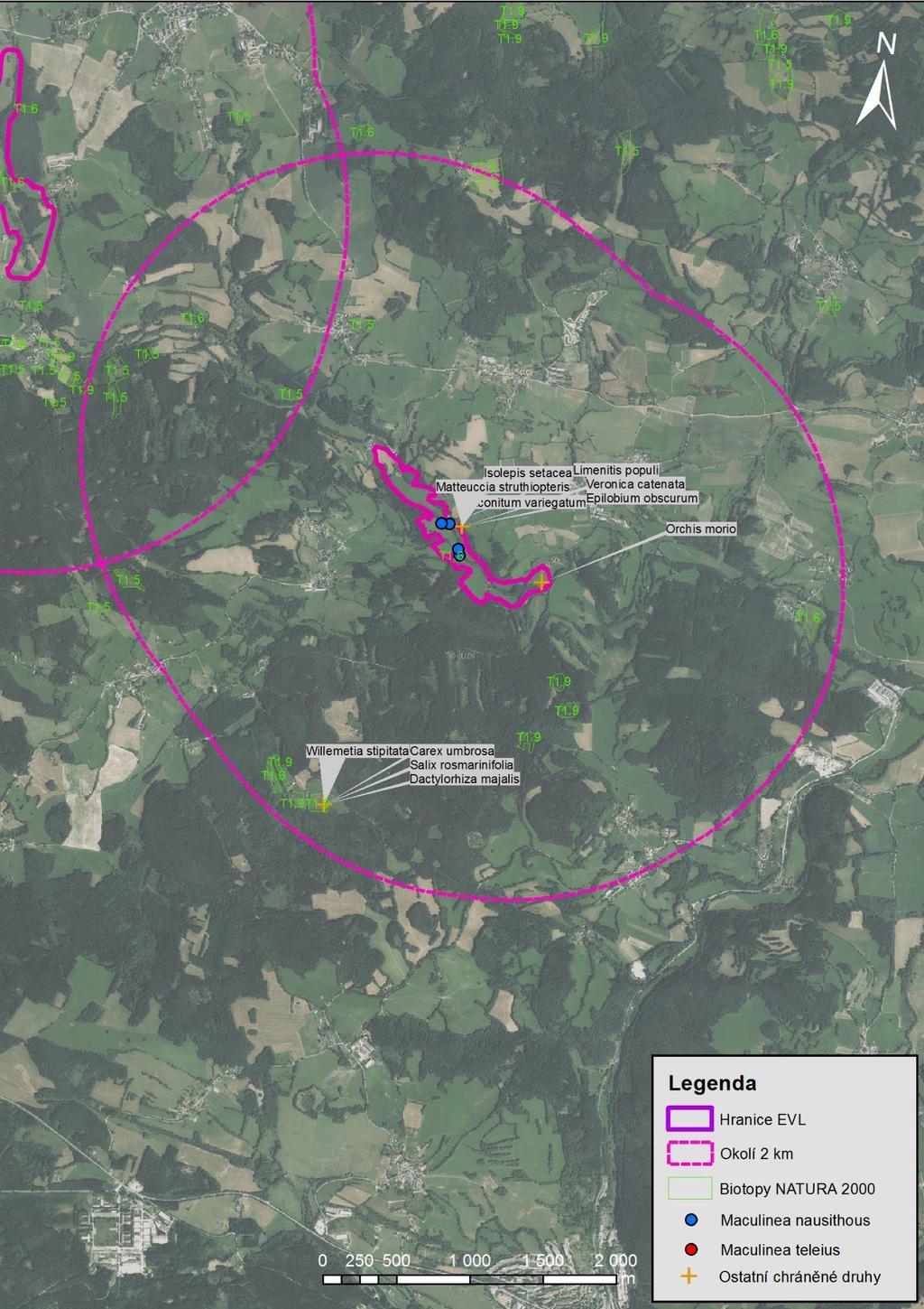 Mapa 14 EVL Onšovice-Mlýny a okolí 2 km. Znázorněna je hranice EVL, okolí 2 km, naturové biotopy T1.