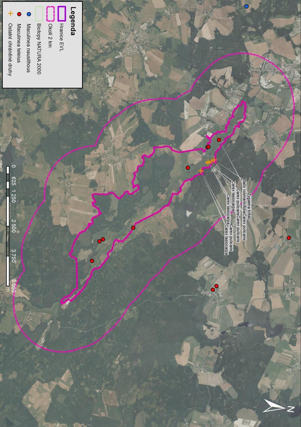 Mapa 15 EVL Stropnice a okolí 2 km. Znázorněna je hranice EVL, okolí 2 km, naturové biotopy T1.