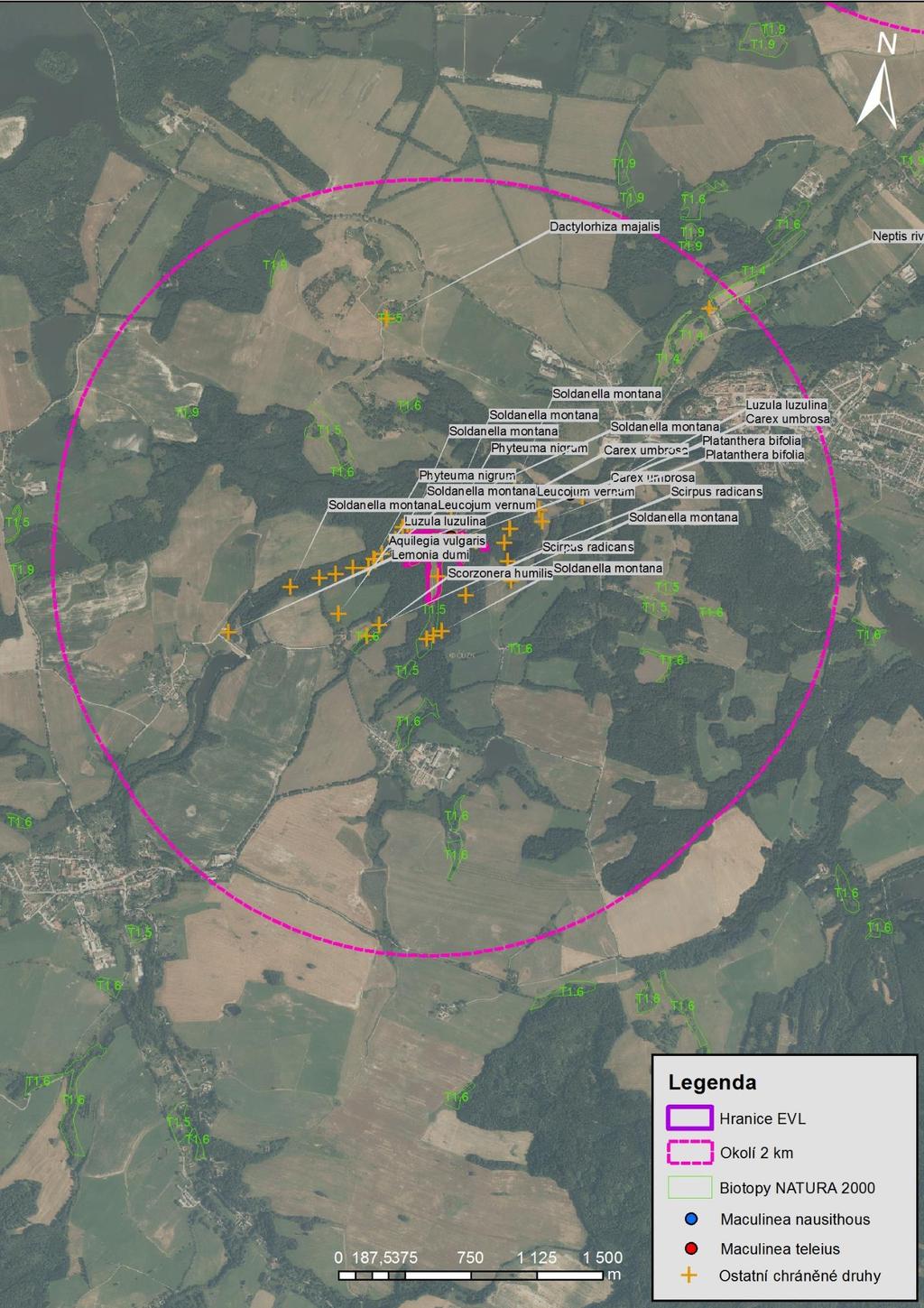 Mapa 16 EVL Terčino údolí a okolí 2 km. Znázorněna je hranice EVL, okolí 2 km, naturové biotopy T1.