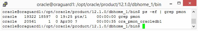 Obrázek 15: proces PMON na stroj oraguard1 - zdroj: vlastní zpracování Příkaz ps vypsal dva řádky s procesem PMON (obrázek 15). Hledaný proces PMON obsahuje ve svém názvu SID databáze, kterou sleduje.