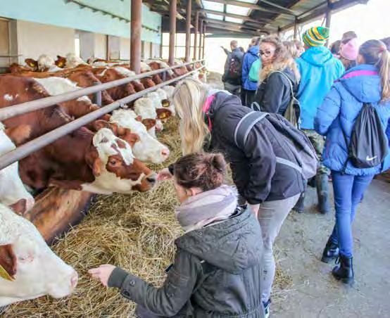 Oblíbenou součástí projektu jsou odborné exkurze.