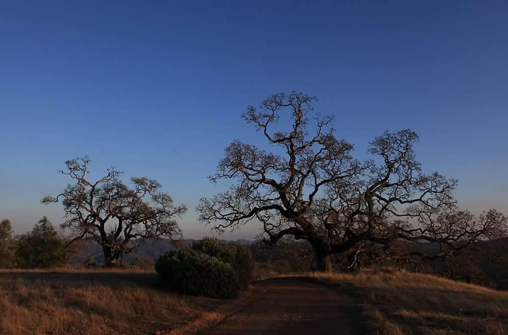 tate Park