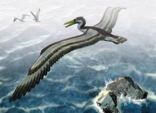 cz a) Rozdíl mezi rozpětími křídel obou ptáků je 15,7 metru.