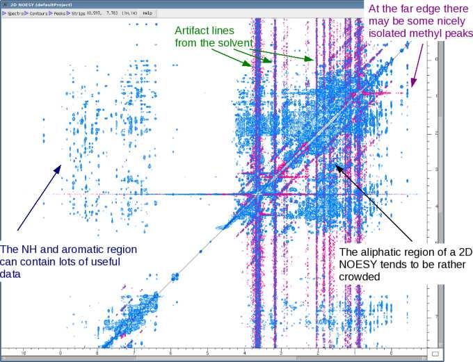 2D NOESY