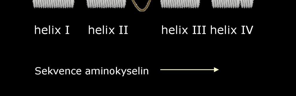 β-sheet random coil α-helix vyhodnocováno