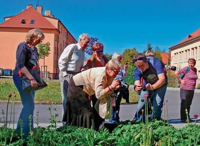 VZDĚLÁVACÍ AKTIVITY kurzy, přednášky, besedy, Přehled spolků, organizací a programů, které v regionu nabízejí nejrůznější vzdělávací aktivity a akce pro seniory.