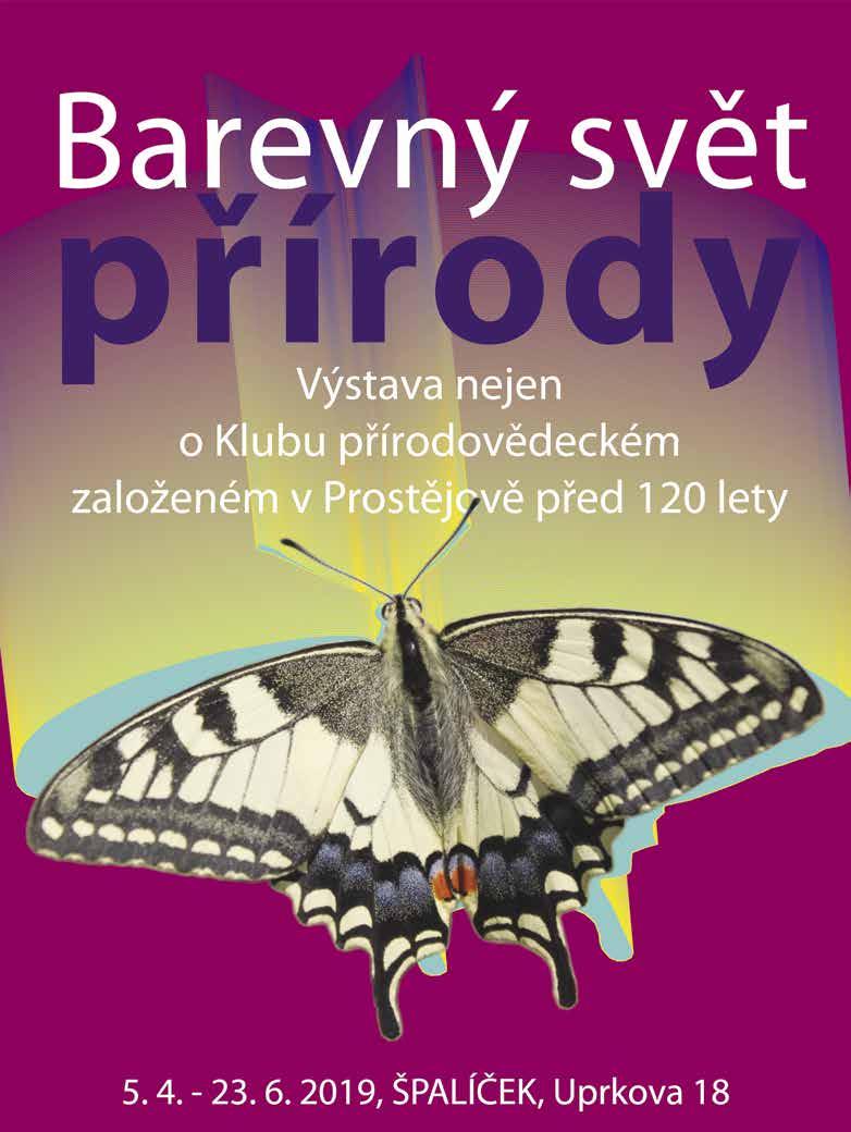 Spolu se založením nových výtvarných oborů, na škole původně ryze oděvního zaměření, obohatila pedagogický sbor celá řada tvůrčích osobností.