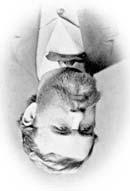 ϭϵϯ5ʹϭϵ3ϭ (ϭθ3ϲʹϭϵϭϭͿ ϭθϳϳʹϭϵϭϭ