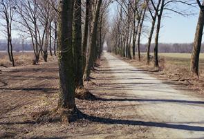 Krásný Dvůr, park, 9.4.