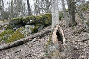 Horní Jiřetín, Jezerka, 17.