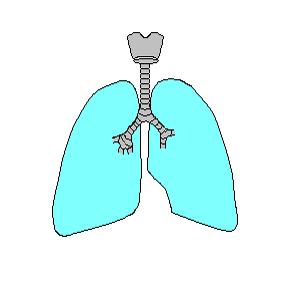 diagnóza dle spirometrie: VC normální, snížená FEV1 FEV1% < 80 % příklady: asthma