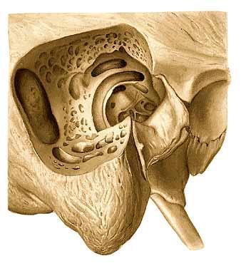 aditus ad antrum mastoideum cellulae mastoideae (vývoj