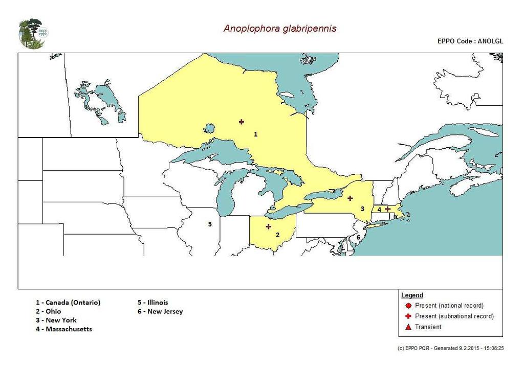 Obr. 2 Mapa výskytu A. glabripennis v Severní Americe, zdroj: EPPO PQR, 2014 Na území Evropy byla A.