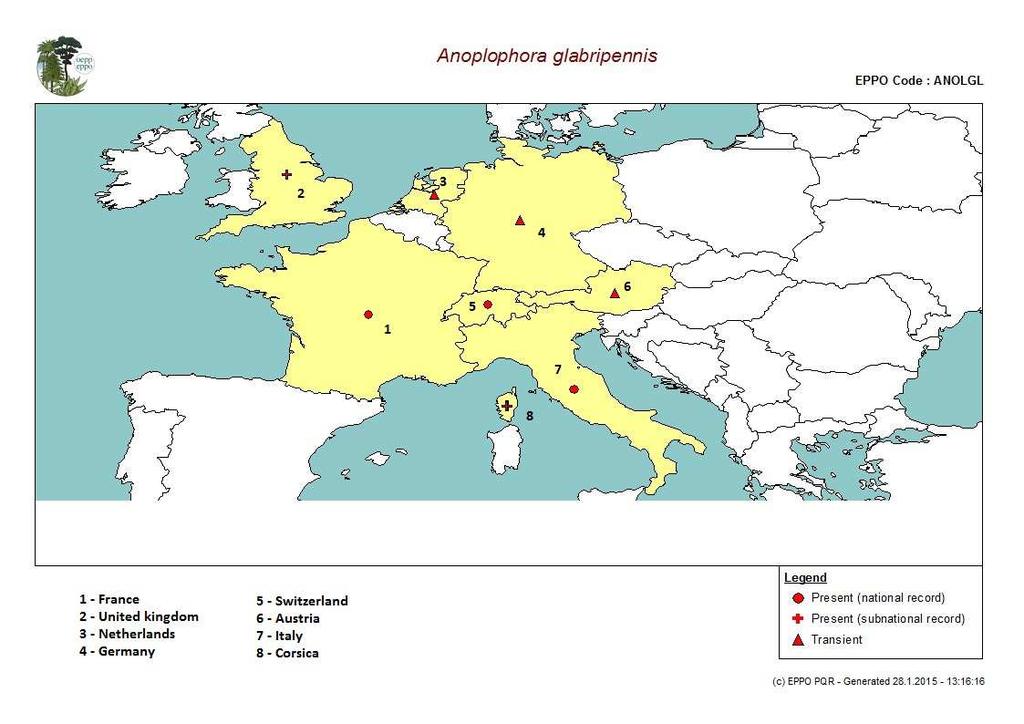 Obr. 3 Mapa výskytu A. glabripennis v Evropě, zdroj: EPPO PQR, 2014 2.2.3 Vývoj a biologie V přirozených podmínkách tropických a subtropických oblastí trvá celý vývoj A.