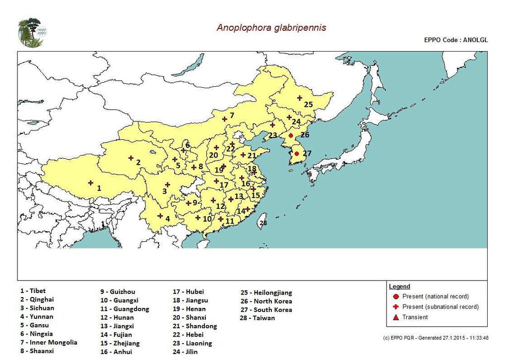 Obr. 1 Mapa výskytu A. glabripennis v oblasti Číny, zdroj: EPPO PQR, 2014 2.2.2 Druhotné rozšíření Poprvé byla A.