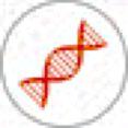 Lorem S d#tmi Ipsum proti Dolor obezit# [Issue] :: [Date] Je v"znamné si uv!domit, $e d!tská nadváha a obezita není jen záva$n" problém zevn!j%ku, ale p&edev%ím záva$n"m zdravotním problém.
