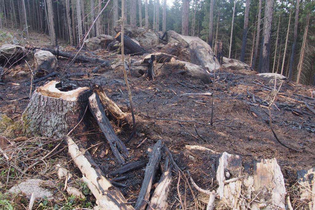 Výjezdy zásahové jednotky obce Číhaň v roce 2019: 6. 4. 2019 Proběhl první letošní výjezd zásahové jednotky obce Číhaň. Zasahovalo se na hořícím kouřovodu č. p. 20 u paní Heřmanové z Číhaně.