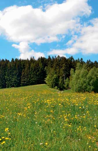 Společnost Hörmann jde příkladem. Proto podnik pokrývá svou potřebu energie ze 100 % z ekologické elektřiny.