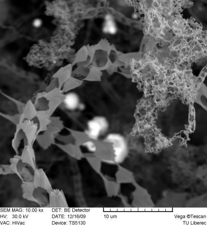 nanomateriálů (včetně vícestěnných uhlíkových nanotrubic) na speciálních