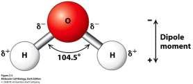 Basic rule of IR absorption Vibrations = stretching and bending movements of atoms in the molecules relative to each other by varying bond lengths (stretching) or bond angle (bending) Infrared