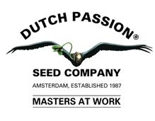 DUTCH PASSION SEED COMPANY AMSTERDAM,