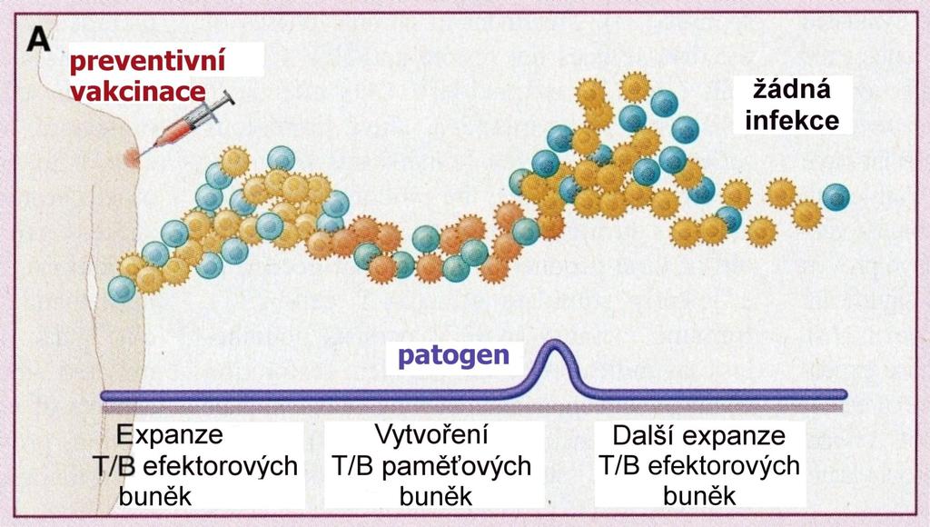 Autran B., et al.