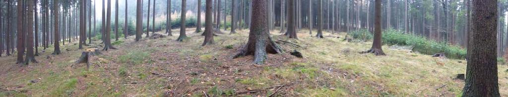 Panoramatický snímek z fotobodu 1 pořízený SV směrem - stav 23.11.