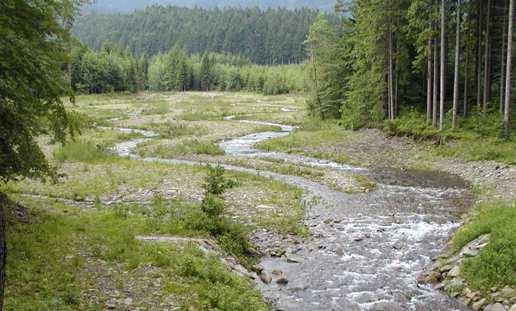 Revitalizace řek, mokřadů a