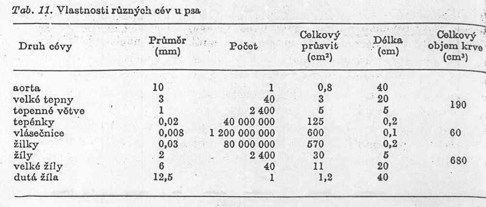 Rozvětvování tepen pokles tlaku. Tlak systolický St (nejvyšší), diastolický Dt (nejnižší), pulzový (rozdíl).