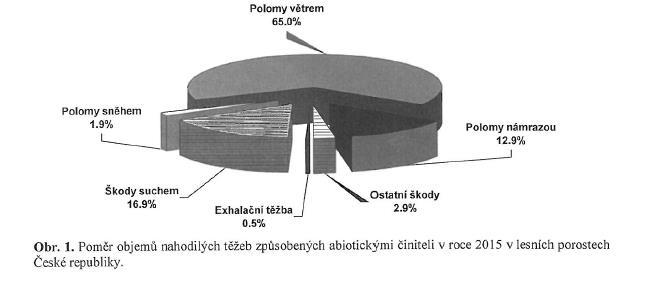 těžby