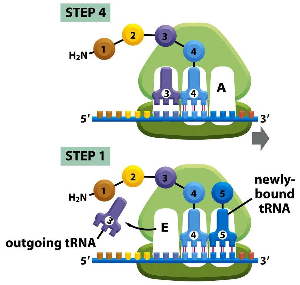 Figure 6-66 (part 4 of 4) Molecular