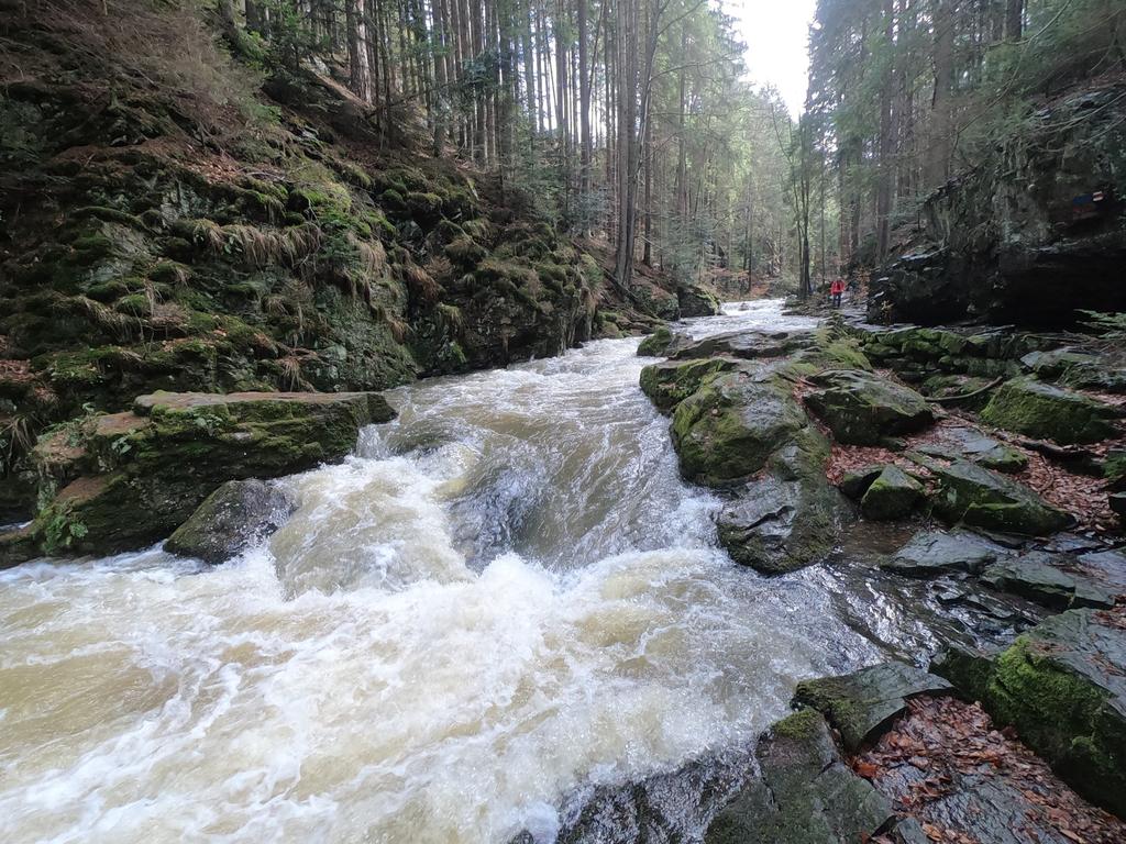 Údolí Doubravy, 17. 3.