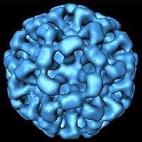 Norovirus http://healthknowitall.